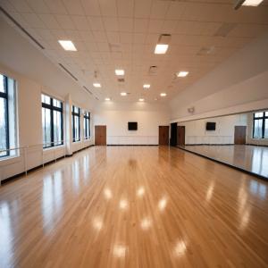 Open a dancing school for future professionals.